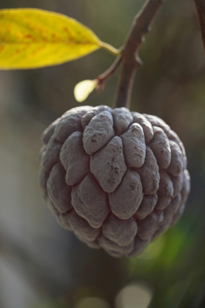 **Health and Agriculture: The Backbone of Human Survival**