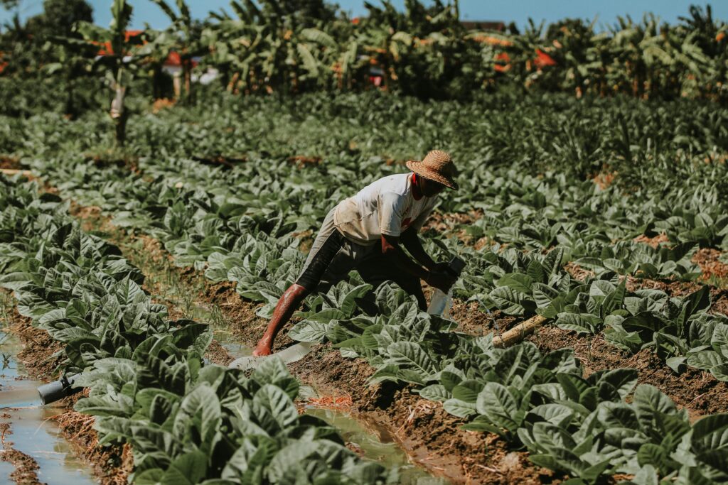 Business and Its Local Impact: Understanding the Role of Companies in Today’s Areas